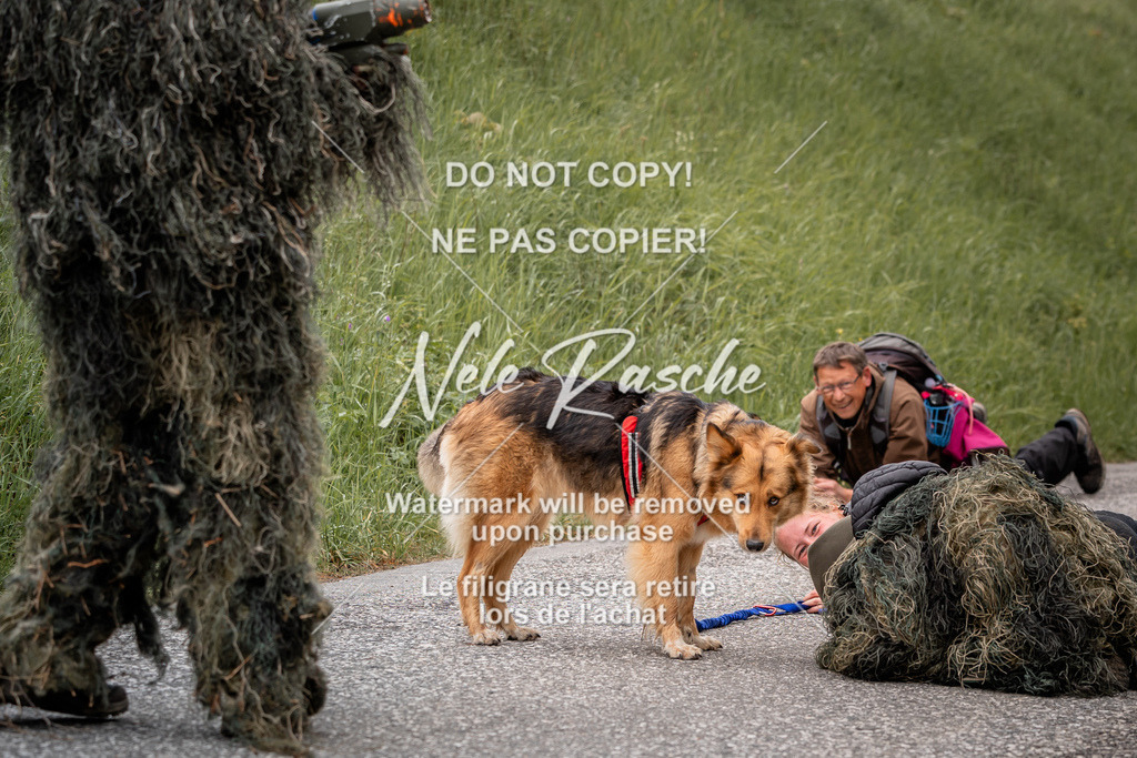 nelerasche_SoZieleinlauf_81 | nelerasche