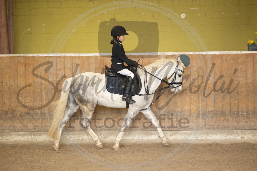 994A8761 | sabrinanicolaifotografie - Realisiert mit Pictrs.com