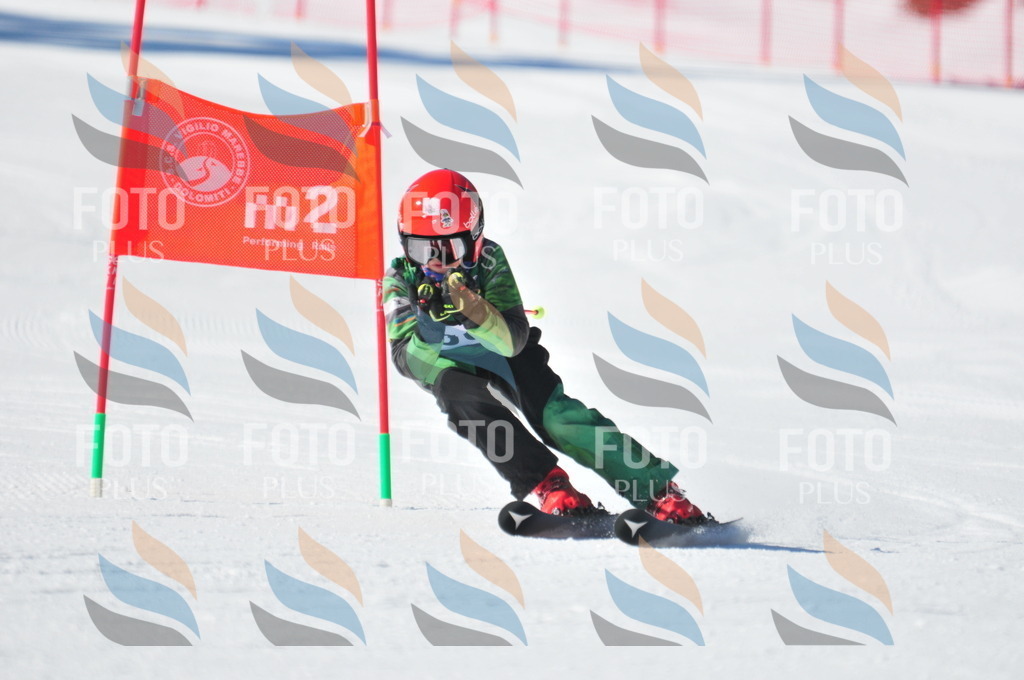 C3145 | holidayphoto