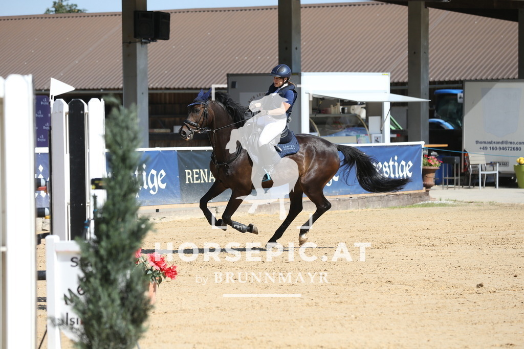 DL2Q2554 | Willkommen bei Brunnmayr - Design & Fotografie – Ihrem Spezialisten für Reitturniere und Pferdeveranstaltungen in Oberösterreich, Salzburg und Bayern! Seit über 17 Jahren sind wir leidenschaftlich dabei.