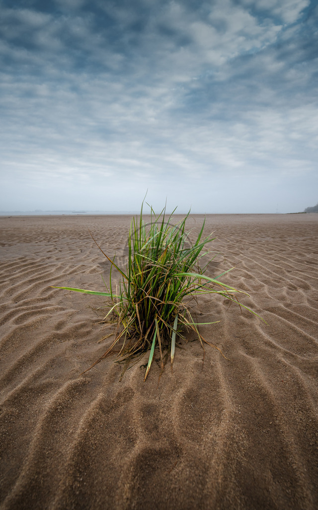 Gras Strand Kollmar | Exklusive Hamburg collagen, tolle Segelbilder und viele weitere tolle Motive auf Leinwand, Poster, Alu-Dibond, u.v.m. findet Ihr bei uns auf hamburgbild.de. Findet Euer Wandbild für Euer Zuhause, Büro oder die  Praxis…. - Realisiert mit Pictrs.com