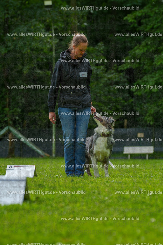 @allesWIRTHgut_Tierfotografie - www.allesWIRTHgut.de - 7R502061 | Professionelle Tierfotografie in Mönchengladbach von Daniel Wirth (allesWIRTHgut). Liebevolle & natürliche Bilder von Hunden & Katzen für unvergessliche Erinnerungen.