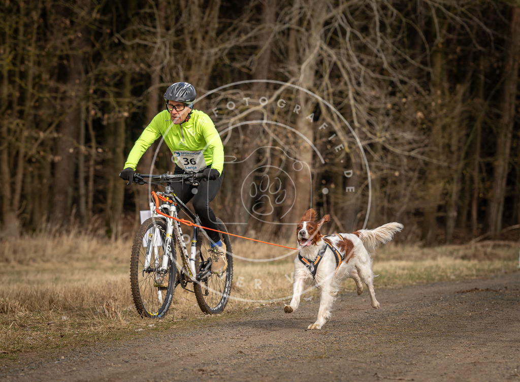 DV3A4583 | Hundefotografie, Tierfotograf, Pfotenfotografie, Fotoshooting Hund, Hunde Portrait, Hundesport, Hundeportraits, Heideshooting, Hunde, Sportfotograf, Hundefotograf, Turnierhundsport, THS,  - Realisiert mit Pictrs.com