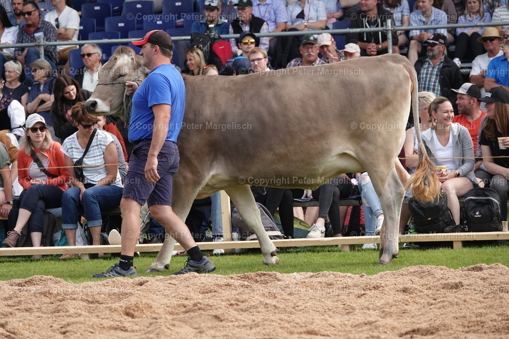 DSC04498 | Schwingen - Realisiert mit Pictrs.com