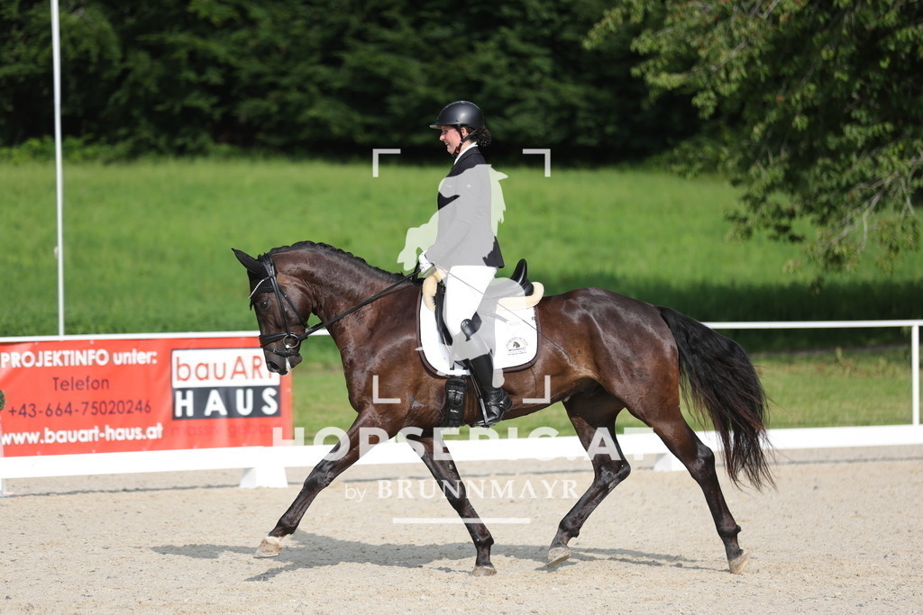 0P6A8583 | Willkommen bei Brunnmayr - Design & Fotografie – Ihrem Spezialisten für Reitturniere und Pferdeveranstaltungen in Oberösterreich, Salzburg und Bayern! Seit über 17 Jahren sind wir leidenschaftlich dabei.