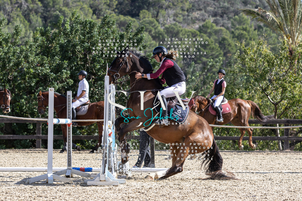 IMG_0351 | s-jay-photography - Realisiert mit Pictrs.com