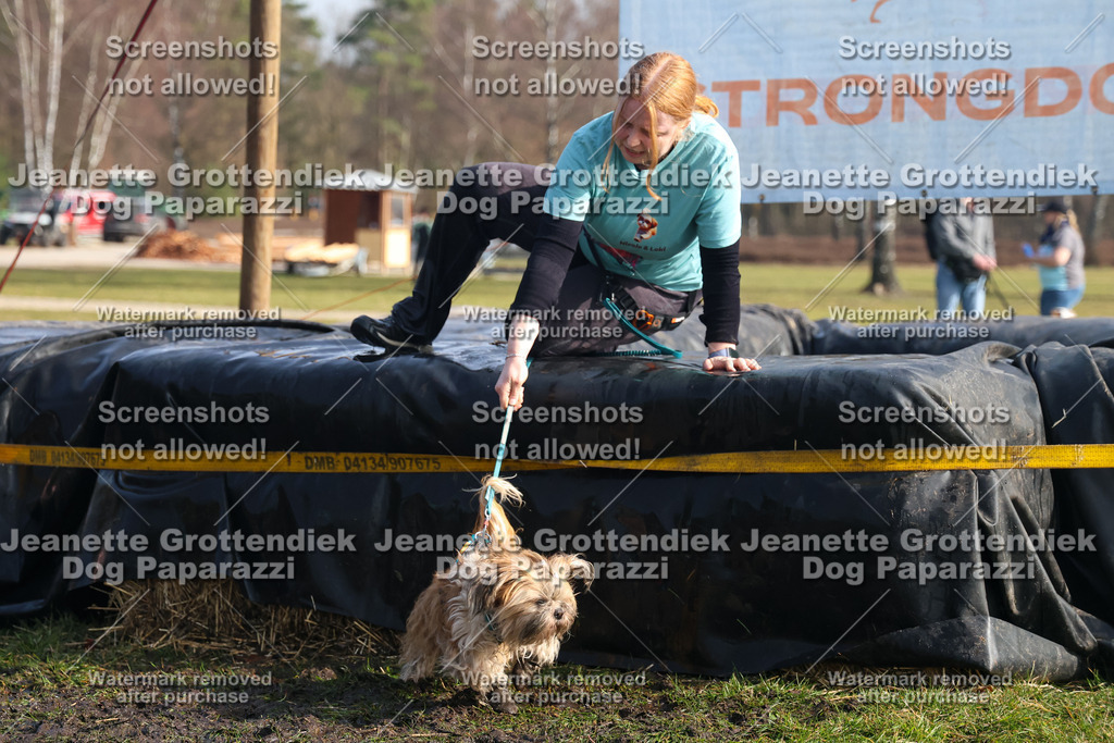 Dog Paparazzi - Strongdog North Mrz26-1569 | Dog Paparazzi Jeanette Grottendiek Fotografie & Videografie - Realisiert mit Pictrs.com