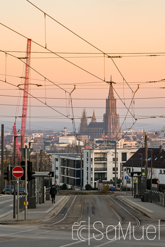 20260304-SML_0150 | Sa-Muel - Realisiert mit Pictrs.com