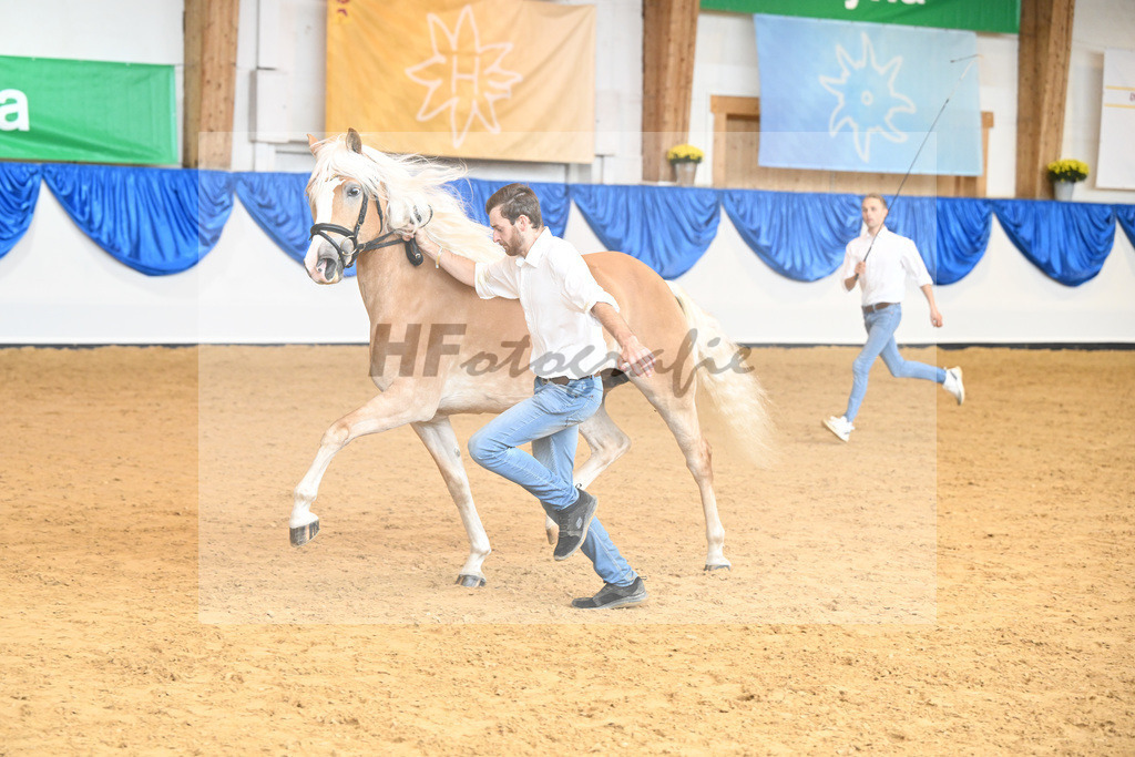 Kat-Nr. 303 Balea_Werthmann_54223235 | hf-fotografie - Realisiert mit Pictrs.com