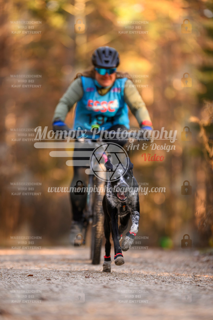 MompixPhotography_DM_AKDM_SO_2025_Bike-177 | PayLife
