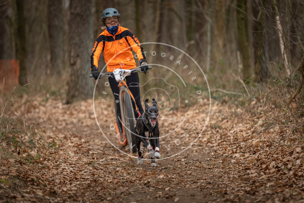 Pfotenfotografie_DV3A7595 | Hundefotografie, Tierfotograf, Pfotenfotografie, Fotoshooting Hund, Hunde Portrait, Hundesport, Hundeportraits, Heideshooting, Hunde, Sportfotograf, Hundefotograf, Turnierhundsport, THS,  - Realisiert mit Pictrs.com