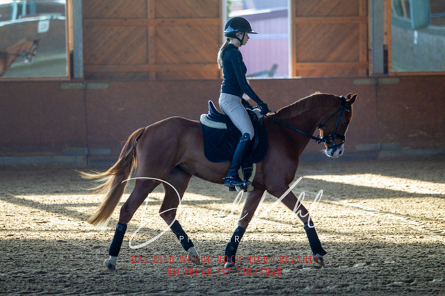 DKP42140 | Turniersportfotografie; Pferdefotografie; Dressurfotografie