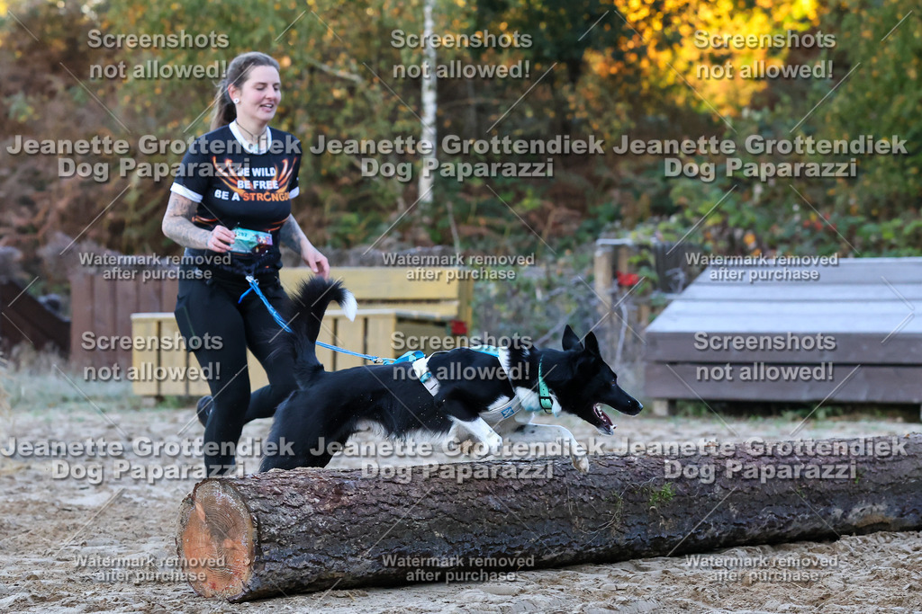 Dog Paparazzi - Strongdog 10-25-272 | Dog Paparazzi Jeanette Grottendiek Fotografie & Videografie - Realisiert mit Pictrs.com