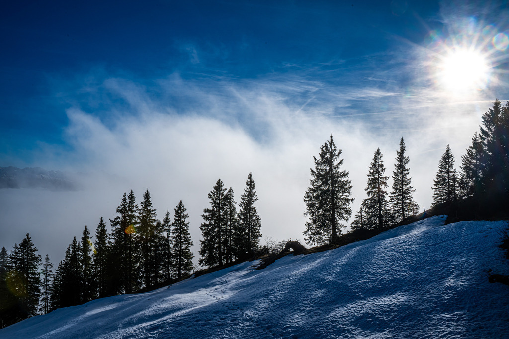 DSC02133 | <meta name="keywords" content="Bergbilder, Hochzeitsfotografie, Actionshootings, Fotografiearbeiten, Berglandschaften, Naturfotografie">

 - Realisiert mit Pictrs.com