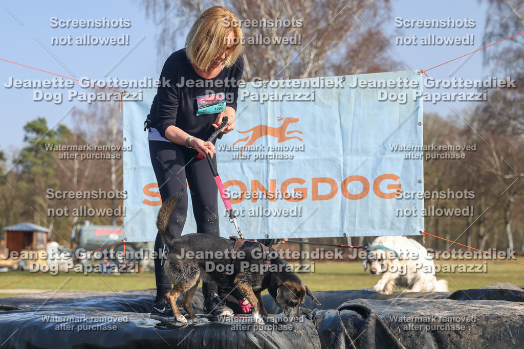 Dog Paparazzi - Strongdog North Mrz26-2833 | Dog Paparazzi Jeanette Grottendiek Fotografie & Videografie - Realisiert mit Pictrs.com