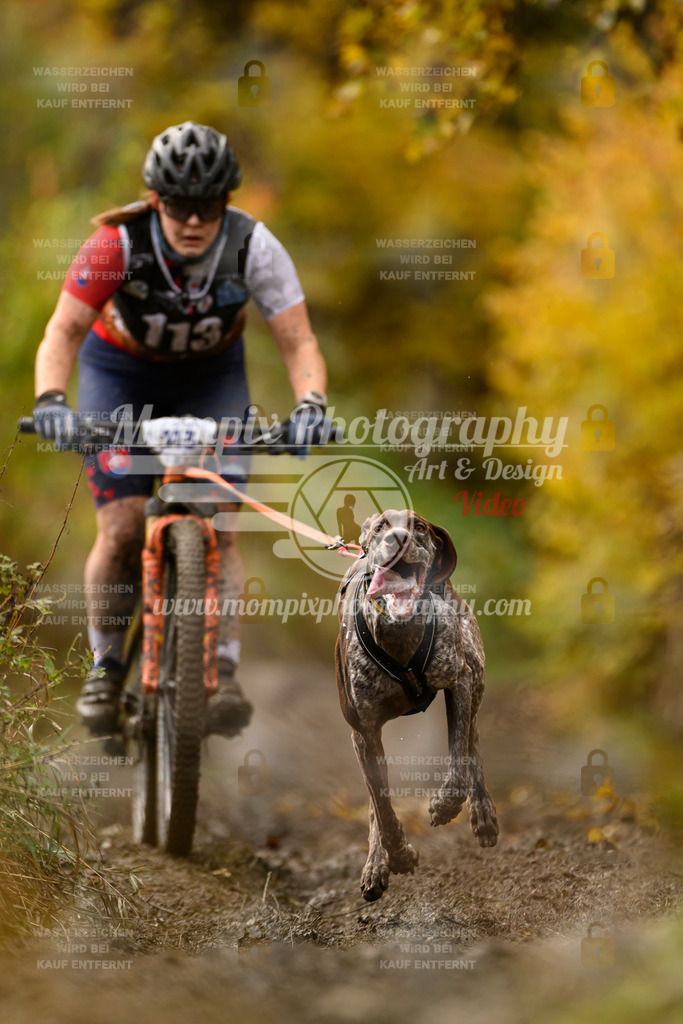 MompixPhotography_ICF_WC_2024_SA_Bike_-87 | PayLife