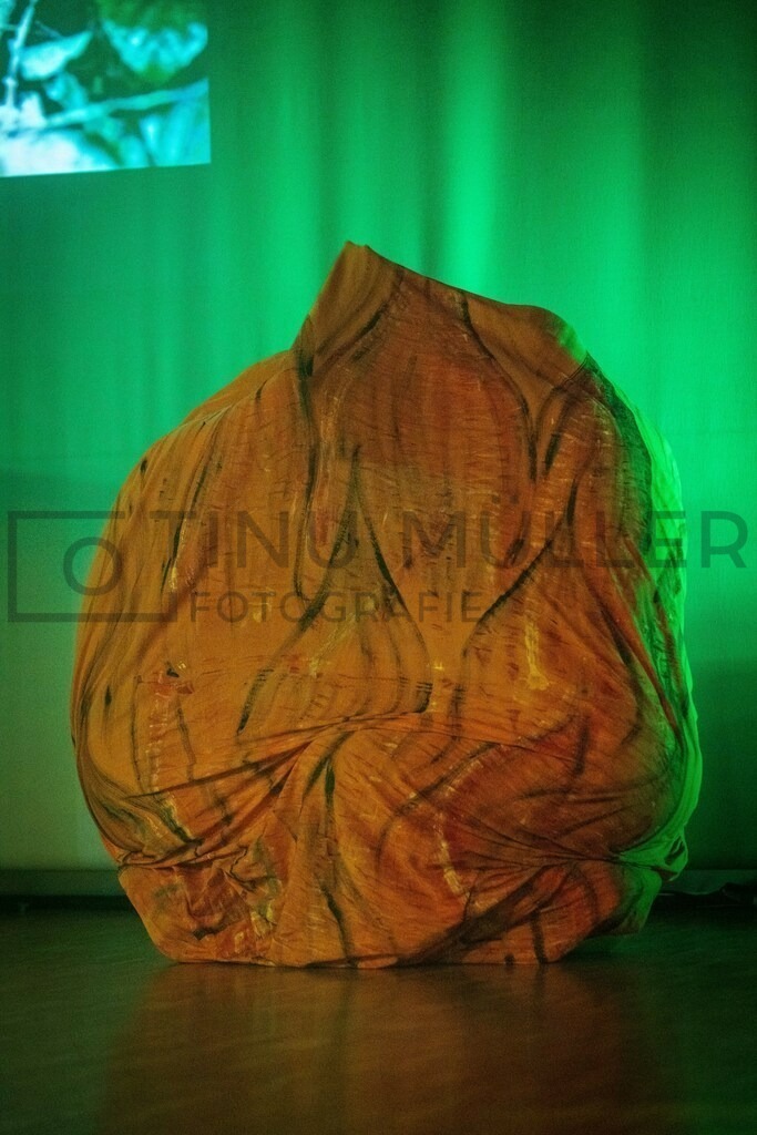 _DSC2505 | Tinu Müller Fotografie- Bildershop - Realisiert mit Pictrs.com