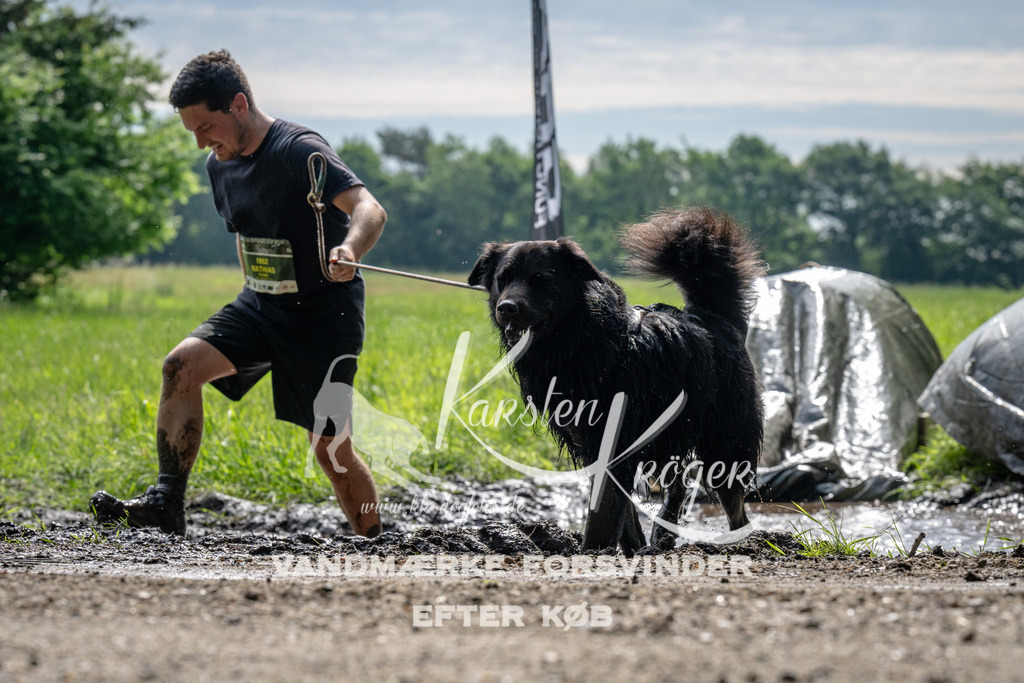 0916_ZZ90666 | kk-dogfotos