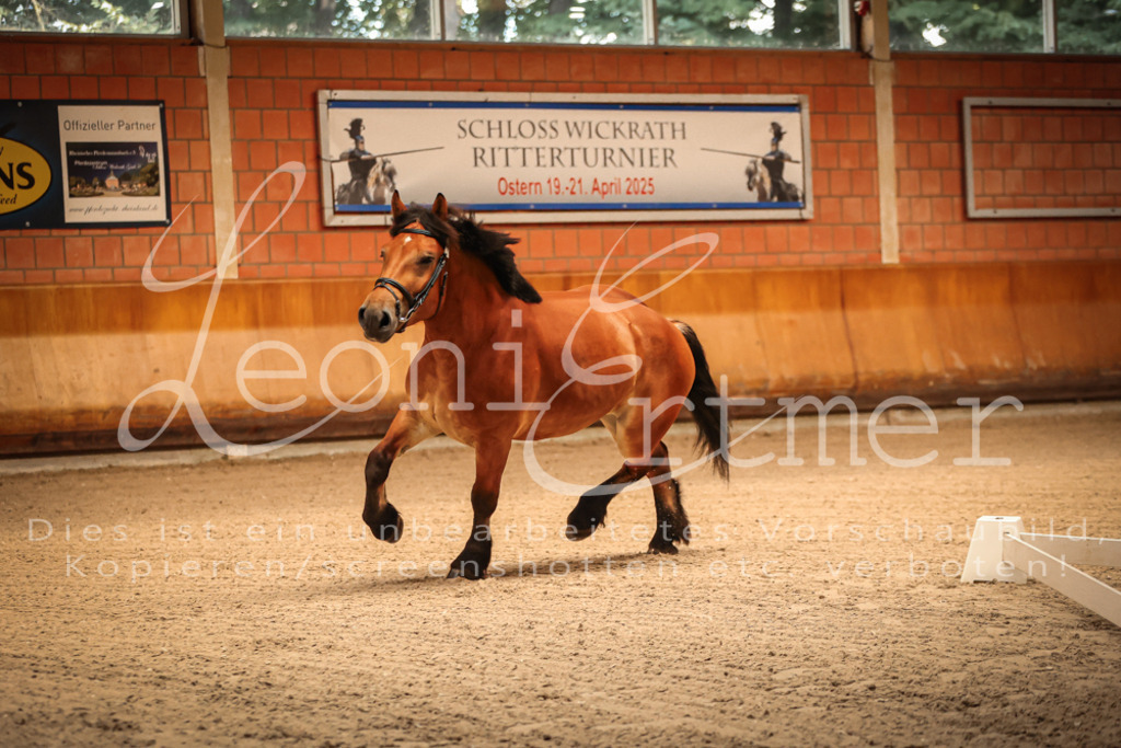 SaFL00012 | Leoni Ertmer Photography - Realisiert mit Pictrs.com