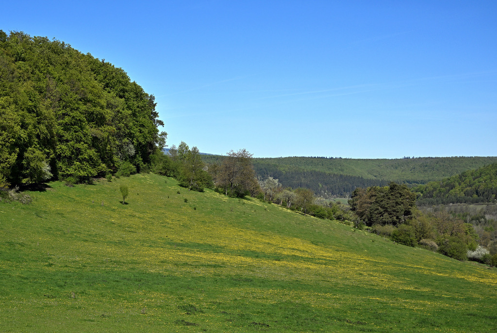 Landschaft01p | lucisnaturbilder - Realisiert mit Pictrs.com