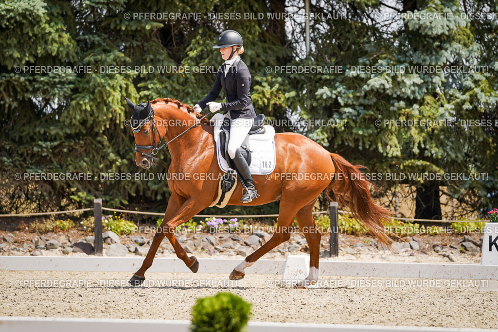 DSC00880 | Pferdegrafie