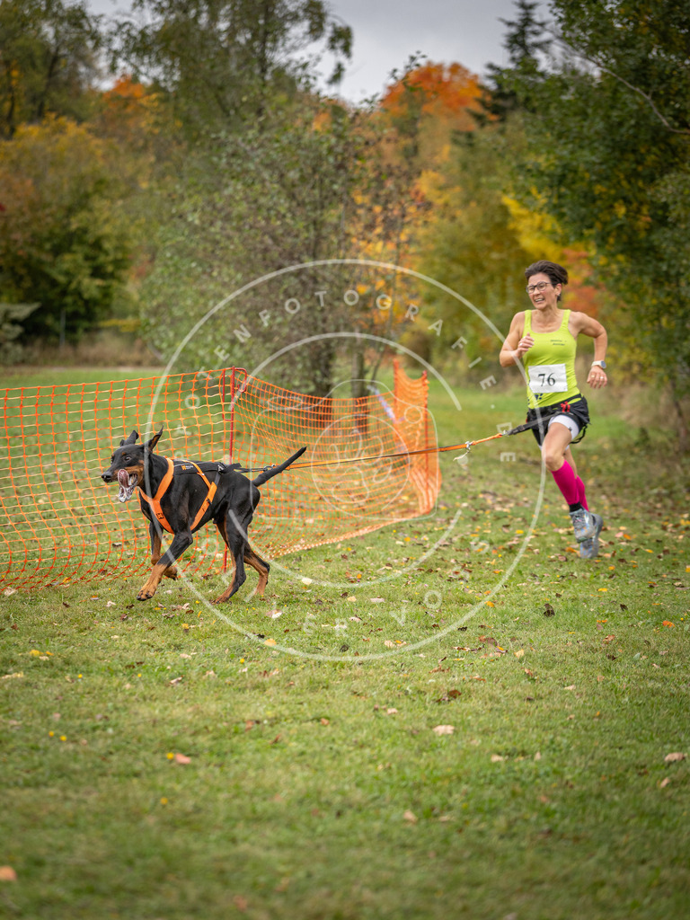 Pfotenfotografie_DV3A2965 | Hundefotografie, Tierfotograf, Pfotenfotografie, Fotoshooting Hund, Hunde Portrait, Hundesport, Hundeportraits, Heideshooting, Hunde, Sportfotograf, Hundefotograf, Turnierhundsport, THS,  - Realisiert mit Pictrs.com