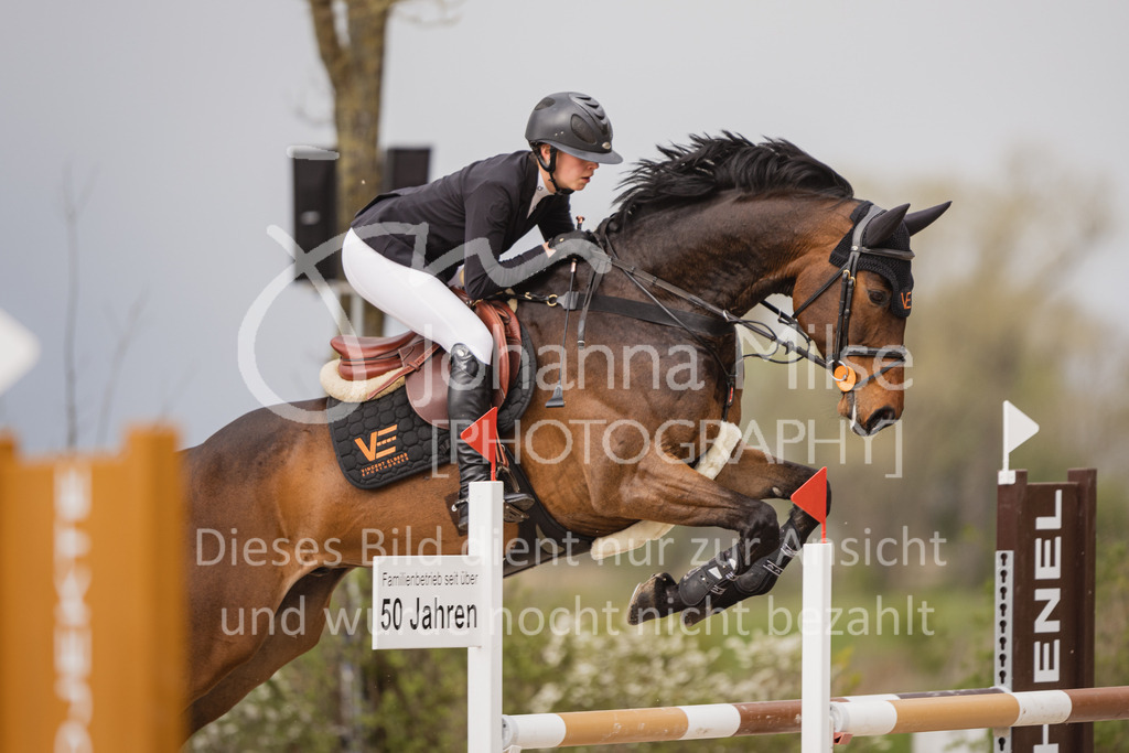 230426_HofSosath_2Ph-L-Spr-874 | Deine schönsten Turniermomente als professionelle Fotos! Entdecke hochwertige Pferdesport-Fotografie im Online-Shop. Jetzt Fotos finden & bestellen!