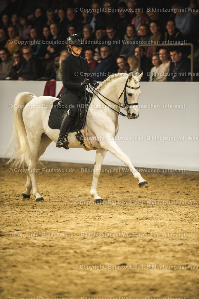 20240302_Hengstvorstellung_Marbach_TOMsPiC_1122 | equistock