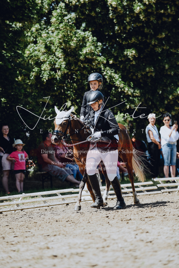 DSC_2542 | Pferde- und Turnierfotografie in Westsachsen. Pferdeportraits, Auftragszeichnungen und intuitive Kunst.