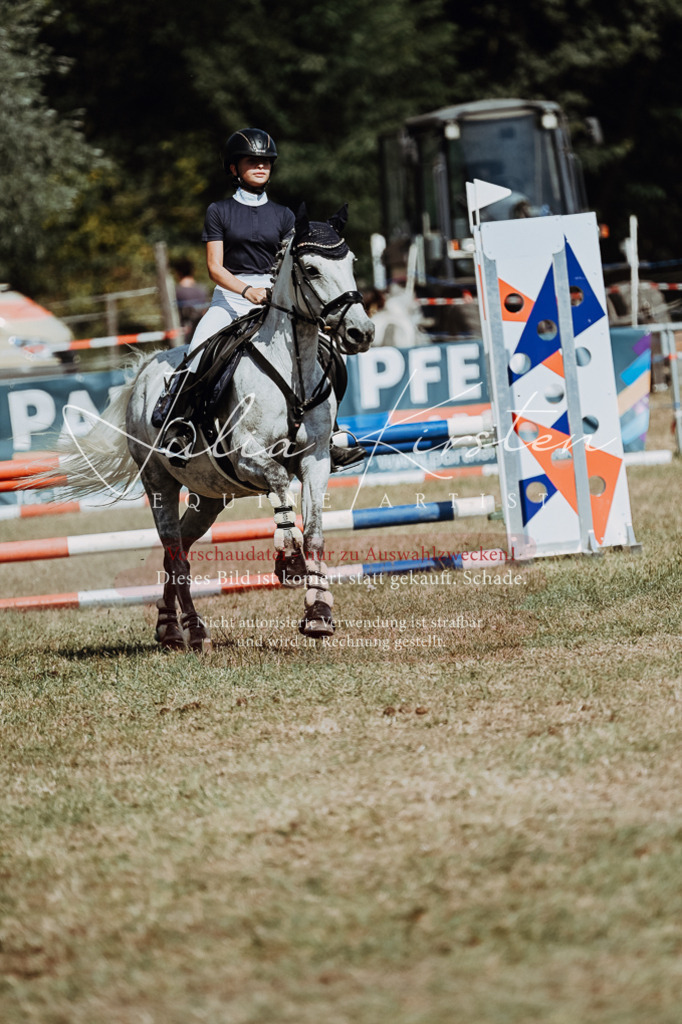 DSC_0030 | Pferde- und Turnierfotografie in Westsachsen. Pferdeportraits, Auftragszeichnungen und intuitive Kunst.