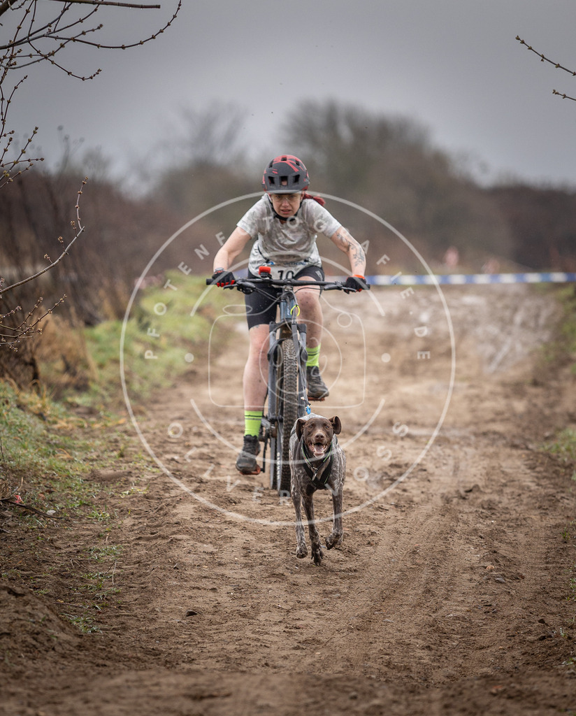 DV3A8912 | Hundefotografie, Tierfotograf, Pfotenfotografie, Fotoshooting Hund, Hunde Portrait, Hundesport, Hundeportraits, Heideshooting, Hunde, Sportfotograf, Hundefotograf, Turnierhundsport, THS,  - Realisiert mit Pictrs.com