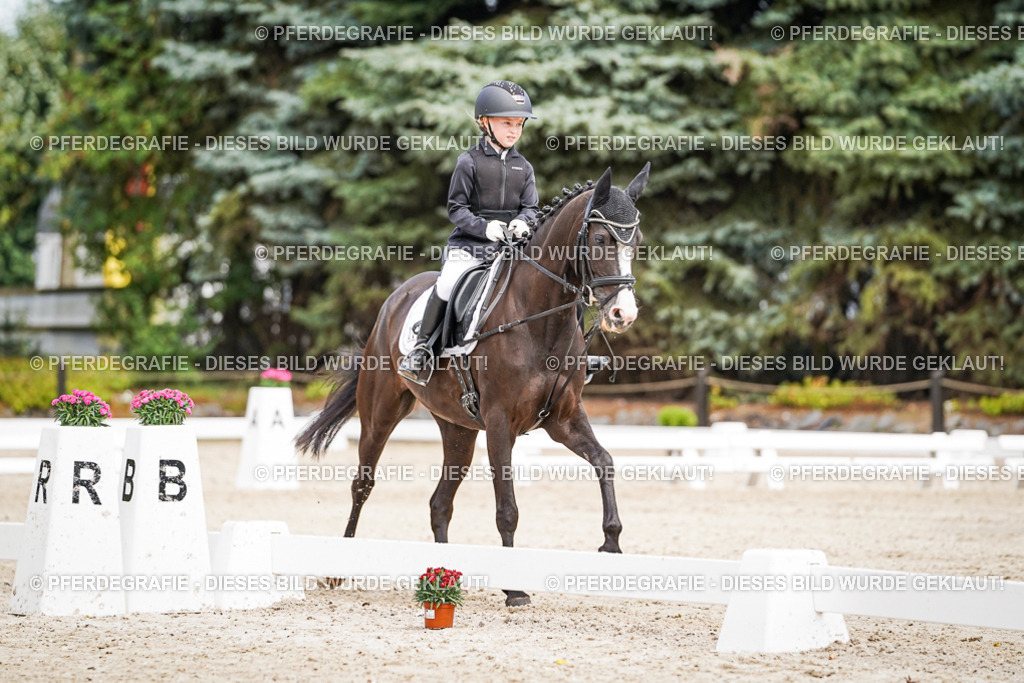 DSC02768 | Pferdegrafie