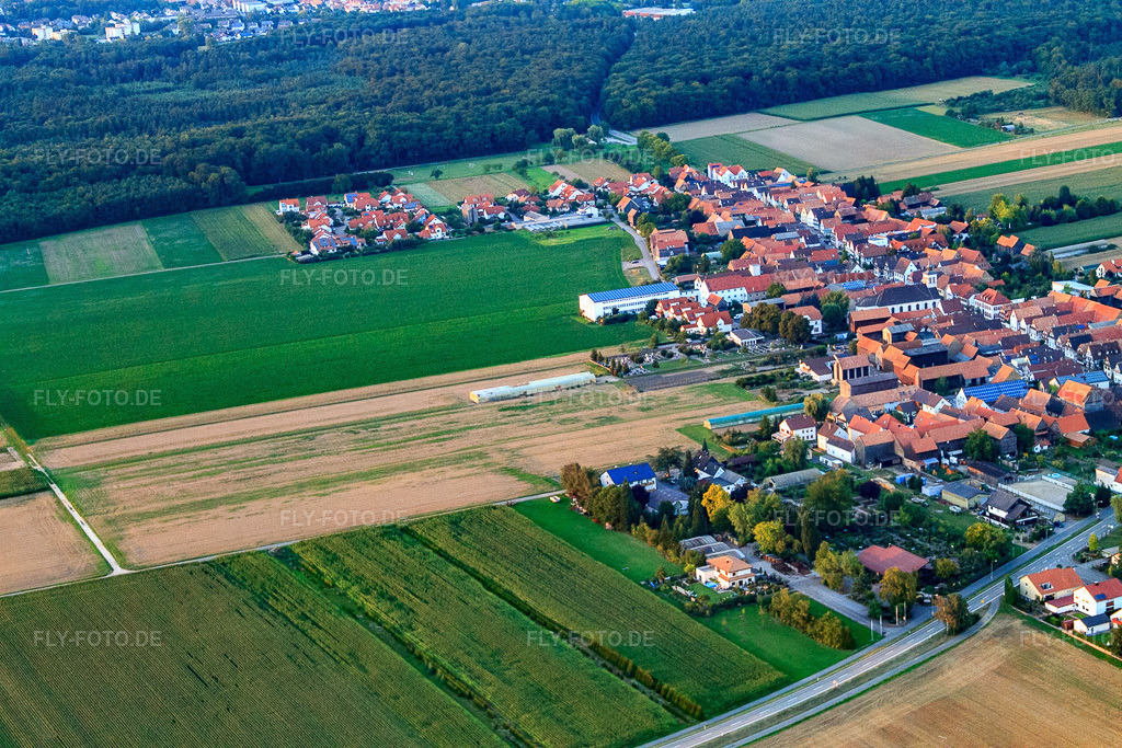 Luftbild: Baumschule Konrad im Ortsteil Hayna in Herxheim im Bundesland Rheinland-Pfalz in Deutschland. Foto: IMG_43947.jpg vom 02.08.2011 durch Werner Riehm/FLY-FOTO.deAuflösung des Originals: 4272 x 2848 pxKonrad Gartenbaumschulen - Eine weitere WordPress-Website