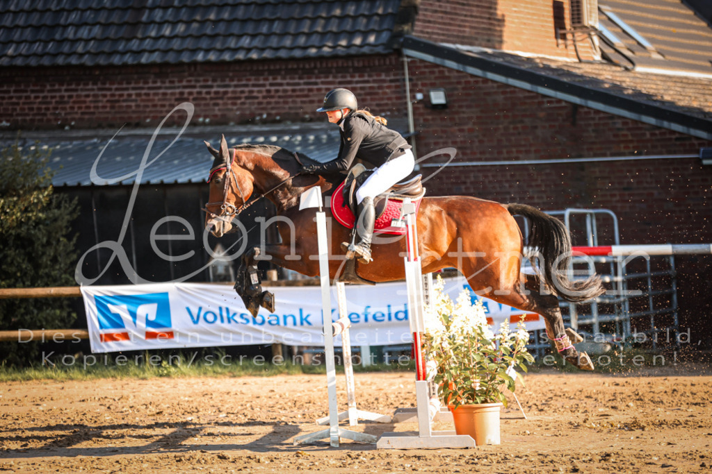 18.SoSpA100198 | Leoni Ertmer Photography - Realisiert mit Pictrs.com