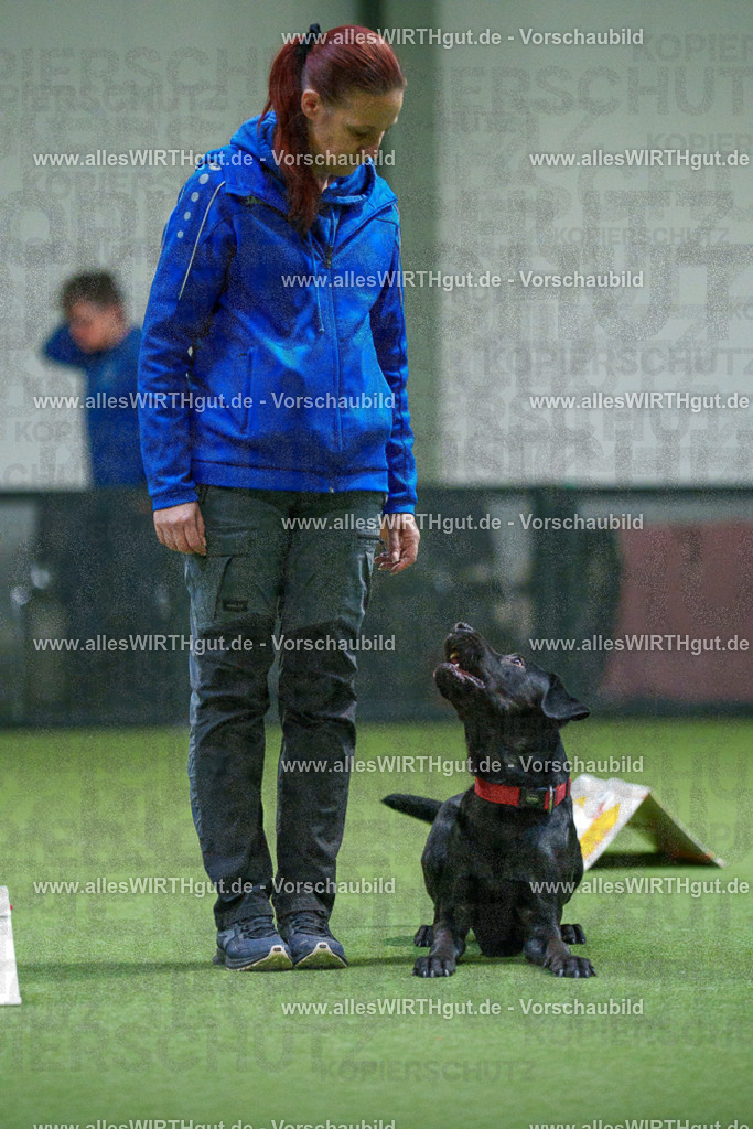 7R504156 | Professionelle Tierfotografie in Mönchengladbach von Daniel Wirth (allesWIRTHgut). Liebevolle & natürliche Bilder von Hunden & Katzen für unvergessliche Erinnerungen.