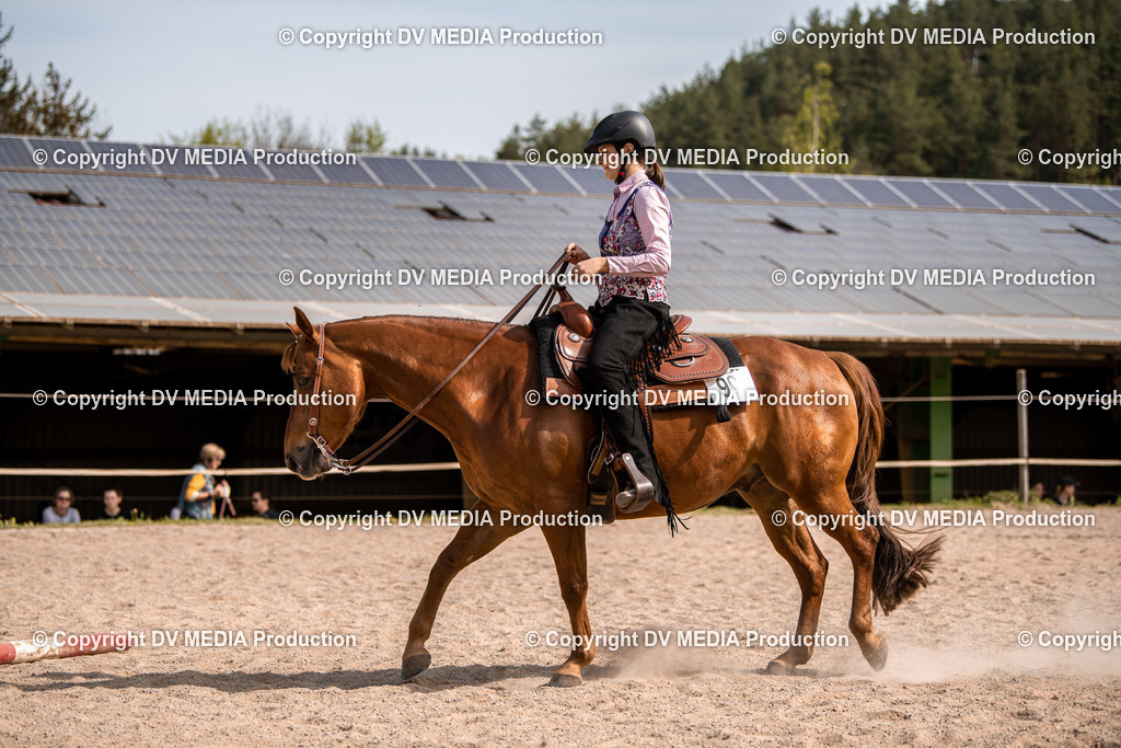 Balingen Tag 5-398 | dv-media-shop - Realisiert mit Pictrs.com