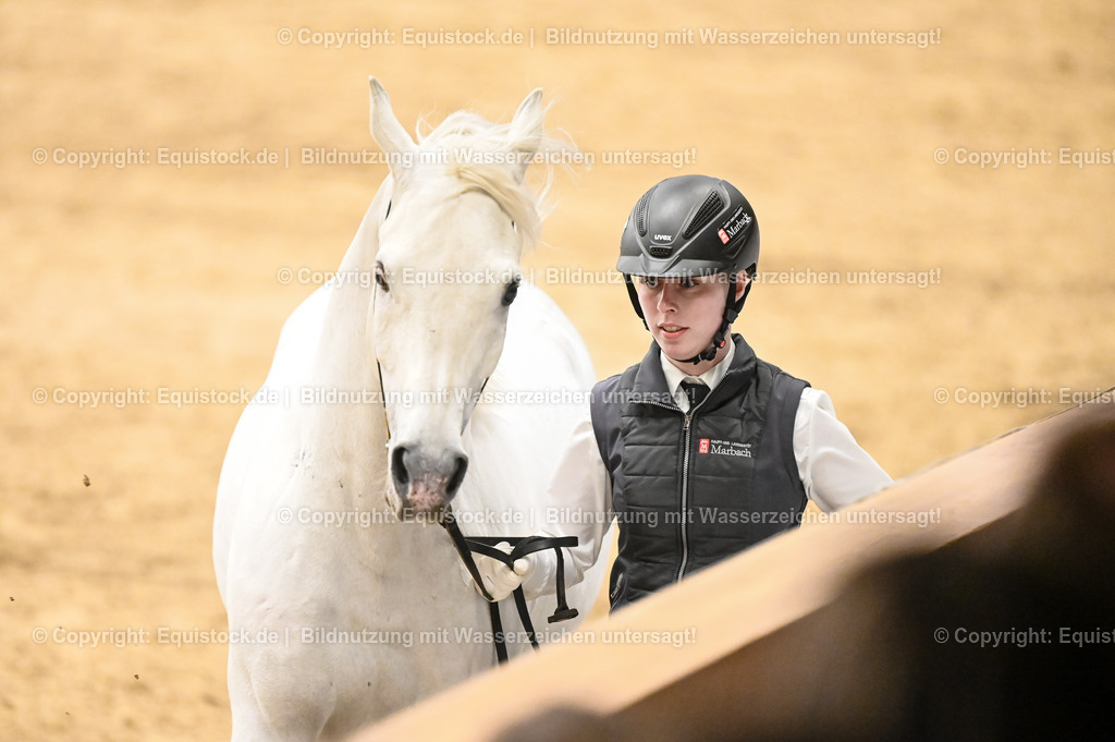 20260307_Hengstvorstellung-Marbach_0294 | equistock