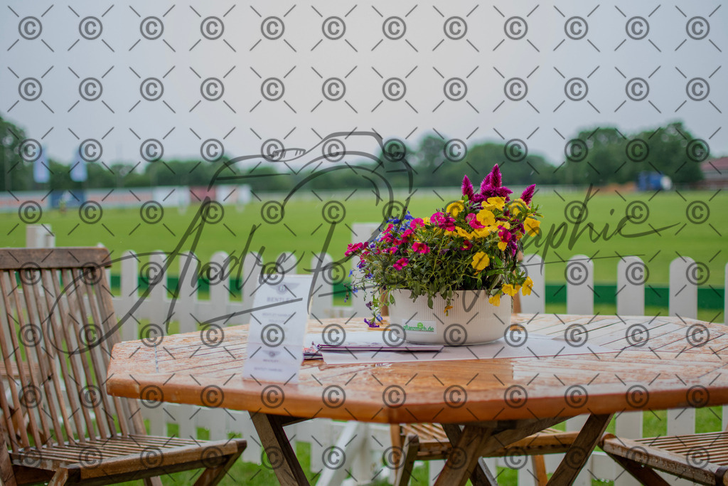 POL_2680 | andre_photographic