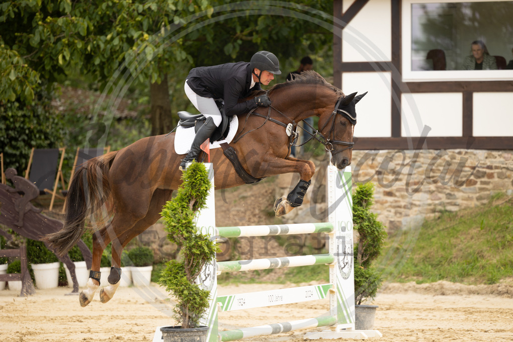 994A9146 | sabrinanicolaifotografie - Realisiert mit Pictrs.com