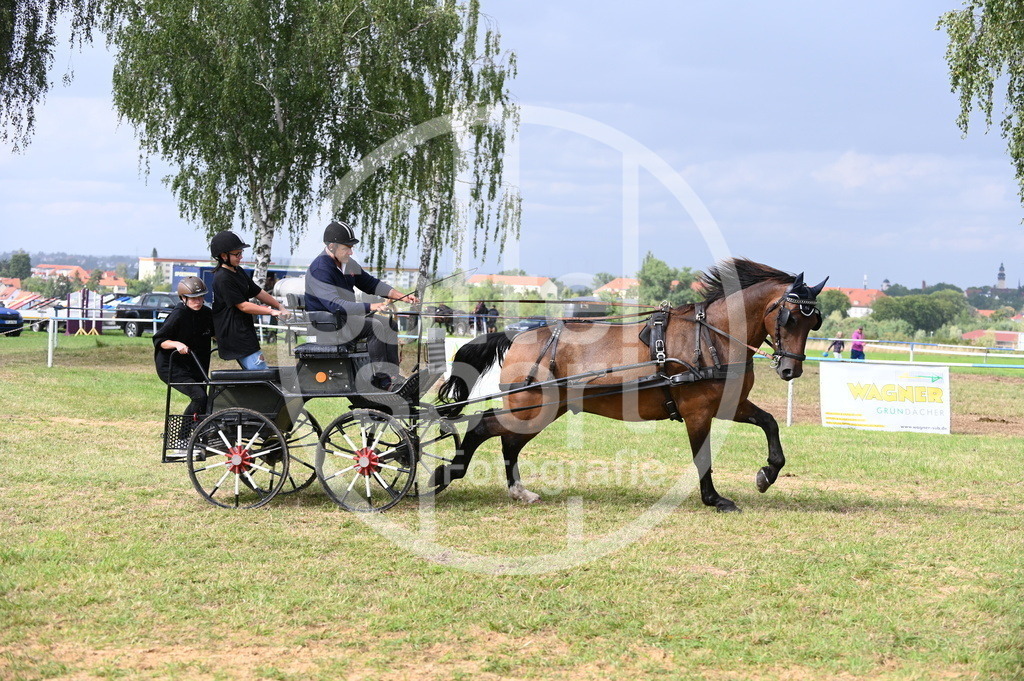 DSC_8931 | sattelsport - Realisiert mit Pictrs.com