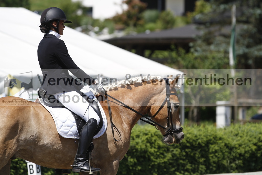 _MG_3980 | equestrian-live-com