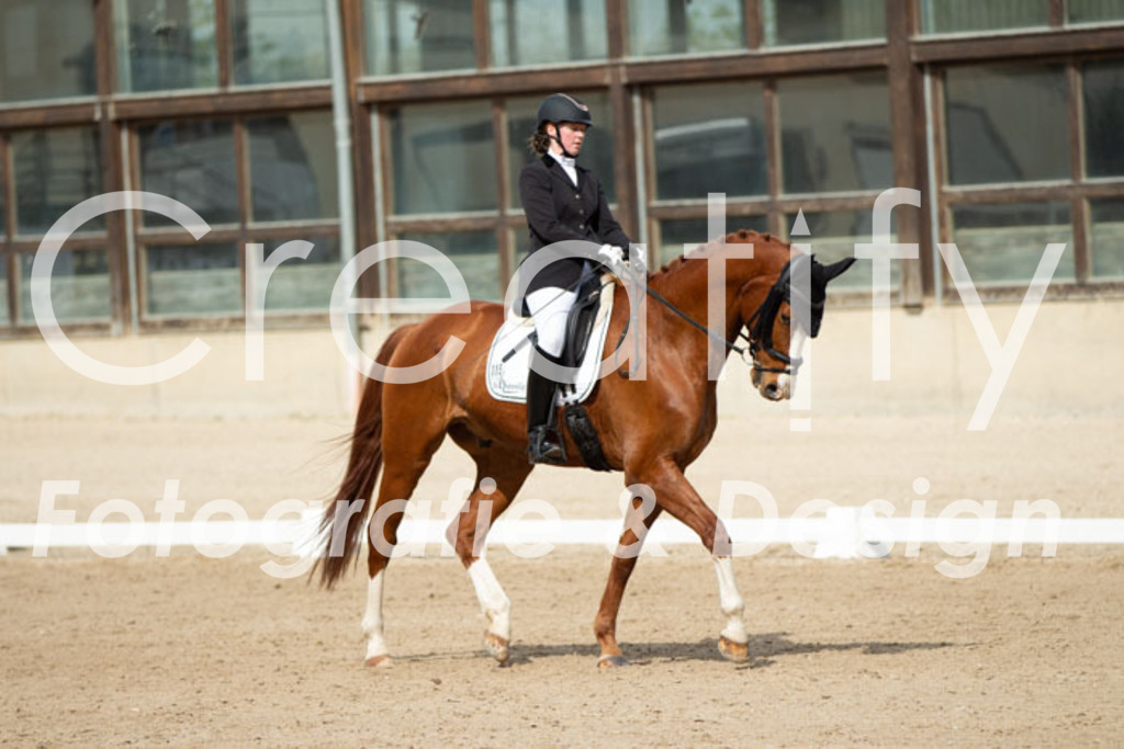 IMG_1308 | Creatify Fotografie