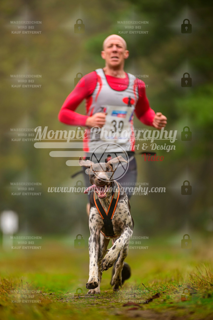 MompixPhotography_Bischwiller2025_Canicross-20 | mompixphotography