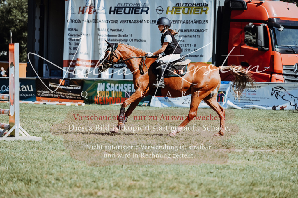 DSC_6850 | Pferde- und Turnierfotografie in Westsachsen. Pferdeportraits, Auftragszeichnungen und intuitive Kunst.