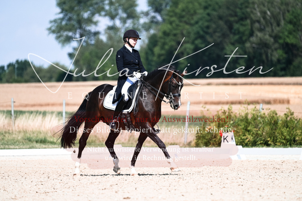 DSC_2930 | Pferde- und Turnierfotografie in Westsachsen. Pferdeportraits, Auftragszeichnungen und intuitive Kunst.
