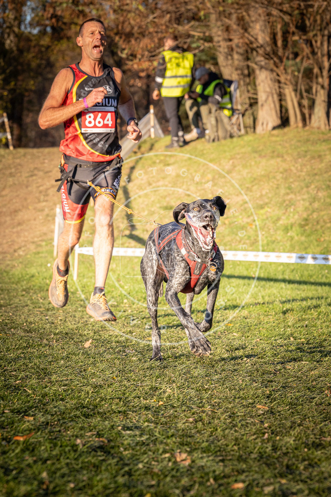 CaniXpix_0L8A0982 | Hundefotografie, Tierfotograf, Pfotenfotografie, Fotoshooting Hund, Hunde Portrait, Hundesport, Hundeportraits, Heideshooting, Hunde, Sportfotograf, Hundefotograf, Turnierhundsport, THS,  - Realisiert mit Pictrs.com