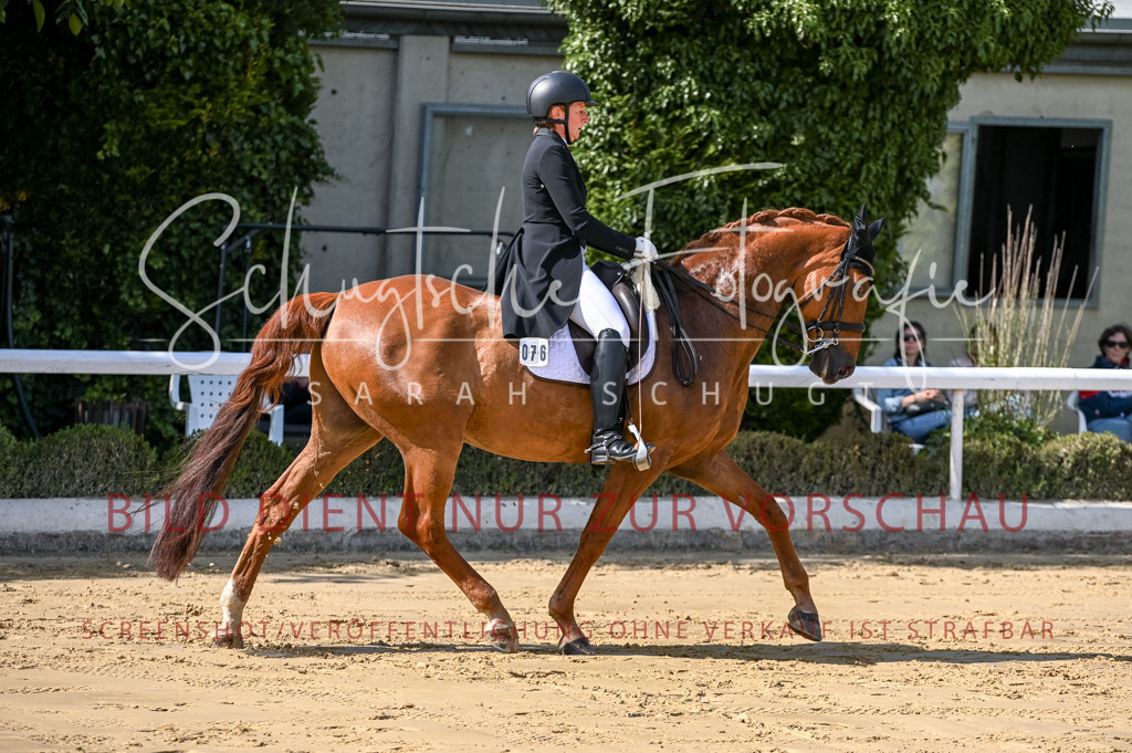 Schugtsche-Aluta25-58. Dressurprf.S1Kand.St.GeorgSpecial-296 | Schugtsche Fotografie - Realisiert mit Pictrs.com