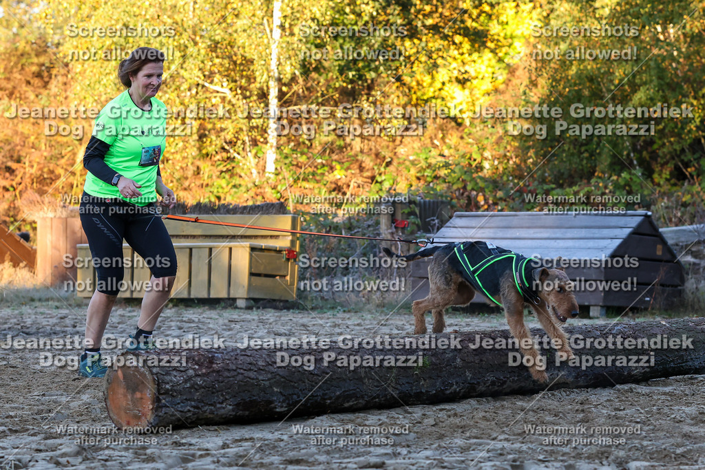 Dog Paparazzi - Strongdog 10-25-502 | Dog Paparazzi Jeanette Grottendiek Fotografie & Videografie - Realisiert mit Pictrs.com