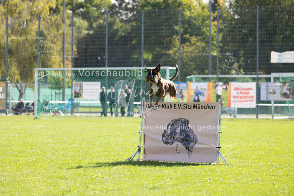 _16A5258 | Einzigartige Fotos von Hunden & Menschen –Actionfotos, Portraits, Vereinsaufnahmen & Paarshootings – authentisch, lebendig & mit Herz.