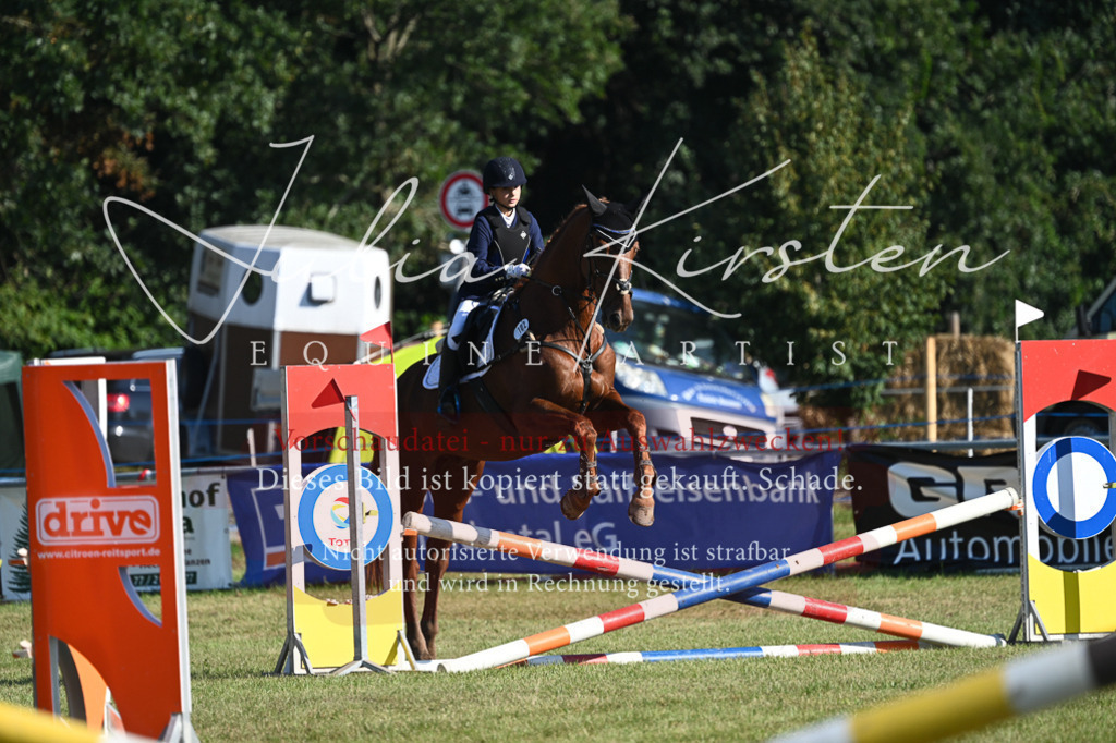 DSC_5104 | Pferde- und Turnierfotografie in Westsachsen. Pferdeportraits, Auftragszeichnungen und intuitive Kunst.